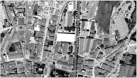sesimbra_orto_pb copy.jpg