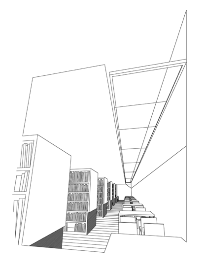 axonom_.tif